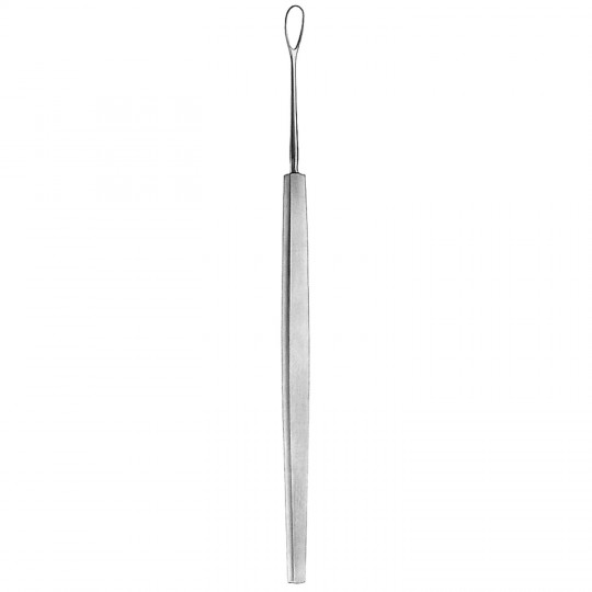 NEW ORLEANS Lens Loop